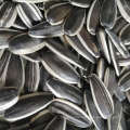 Raw 361,363,5009,601 Sunflower Seeds from Inner Mongolia Factory